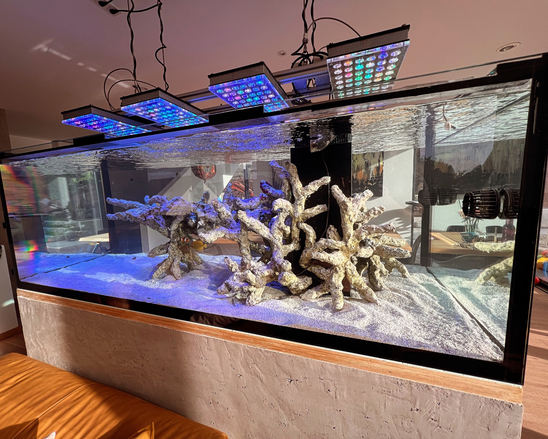 Aquarium